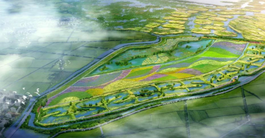 沸石又立新功！雄安新區府河河口濕地主體完工成效初顯！-國投盛世