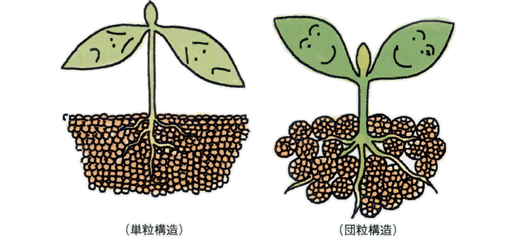 沸石如何應用于土壤改良領域？-國投盛世