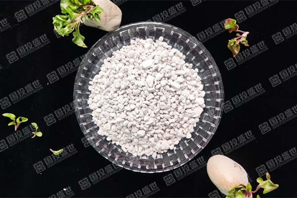 沸石在環境修復中的作用有什么？
