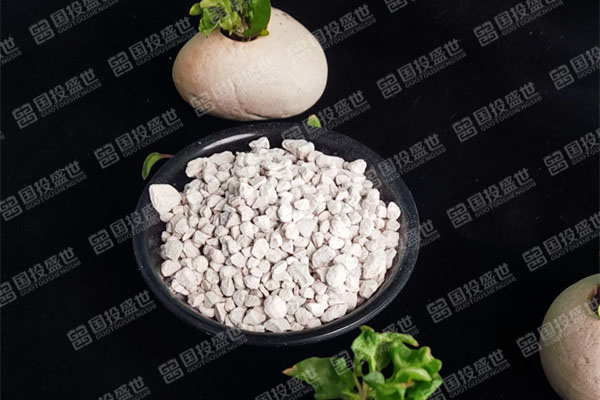 種植多肉植物時應用沸石的好處-國投盛世