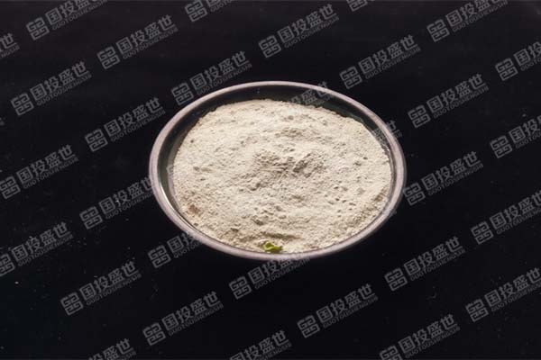 國投盛世的沸石牙膏是什么？