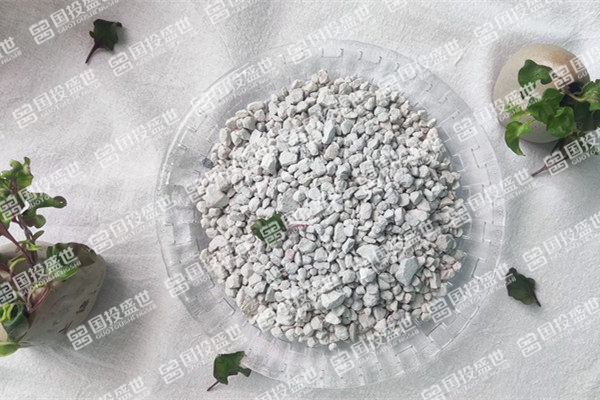 沸石為何能吸附控制垃圾填埋場的甲烷？