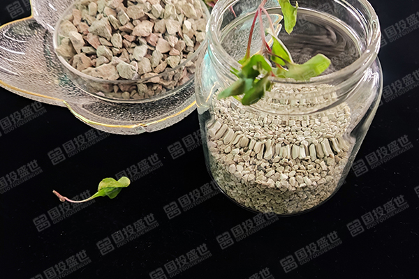 沸石與蒙脫石的區別與相同點在哪？