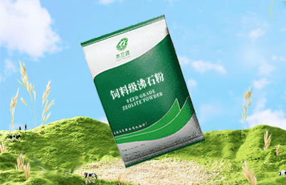 沸石產品與服務-國投盛世