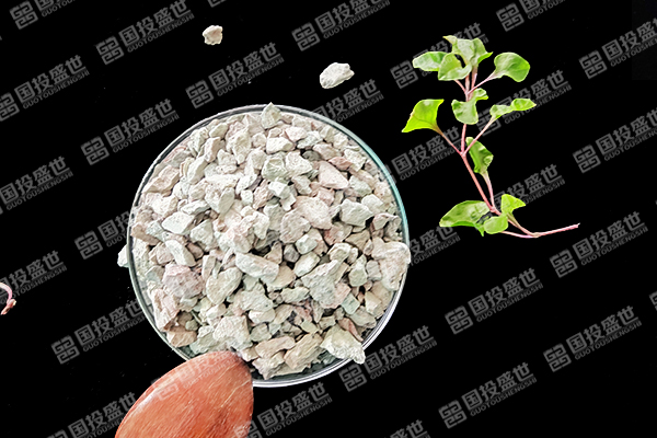 沸石在塑料生產中能否成為解決環境問題的關鍵材料？-國投盛世