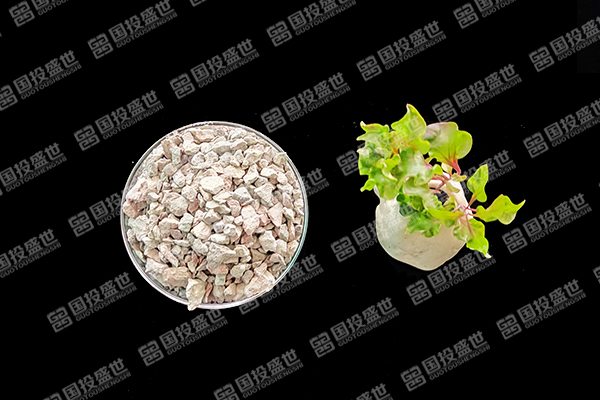 沸石能否成為水稻種植的綠色伙伴？