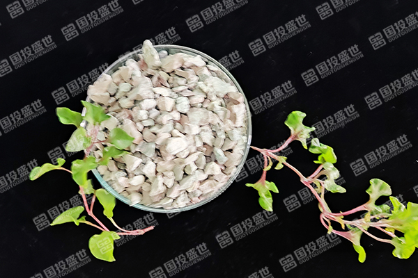 沸石在蘋果樹種植中有哪些優勢？-國投盛世