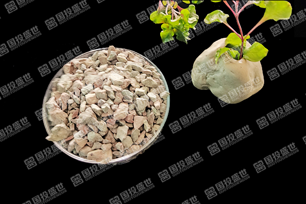 沸石如何提升紅薯種植效果？-國投盛世