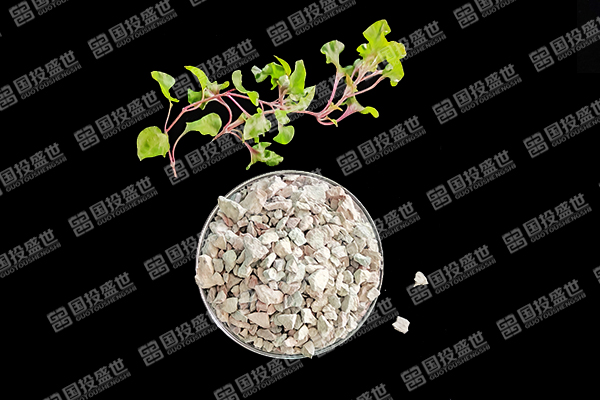 沸石能否成為草莓種植的好幫手？