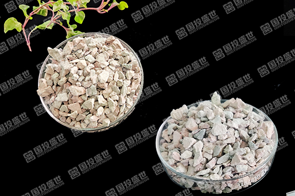 天然沸石如何助力番茄種植邁向綠色高效？-國投盛世