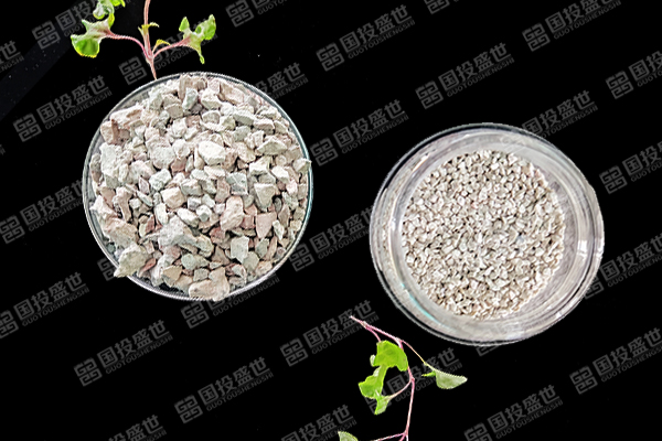 為什么在青蝦養殖中使用沸石能帶來顯著好處？-國投盛世