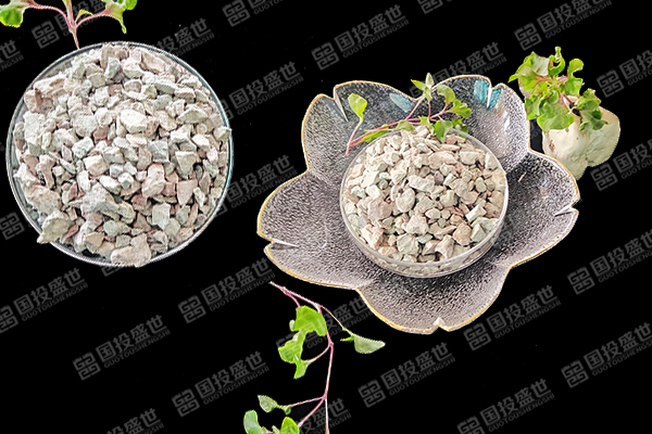 沸石在蟶子養殖中有哪些好處？-國投盛世