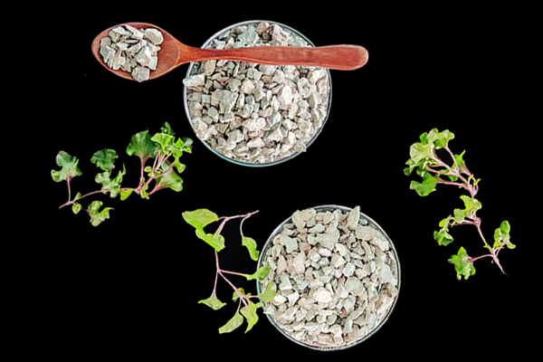 種植黃豆時能使用沸石嗎？-國投盛世