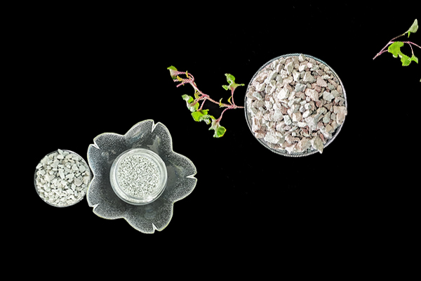 沸石能否助力空心菜產量提升？-國投盛世