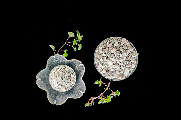 沸石能為扁豆種植帶來哪些改變？-國投盛世