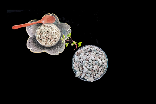 種植魔芋時加入沸石能提高產量嗎？-國投盛世