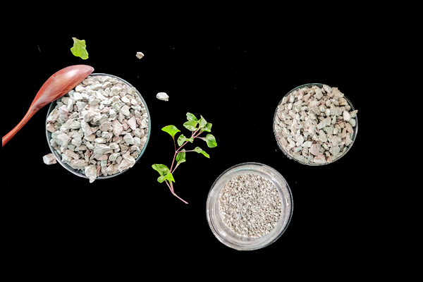 何時添加沸石于大麥種植最有效？-國投盛世