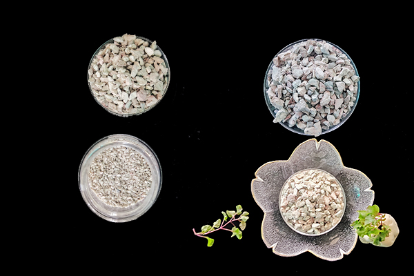 菠菜種植階段能使用沸石嗎？-國投盛世