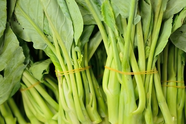 想要空心菜增產，就要在種植時要加入它了